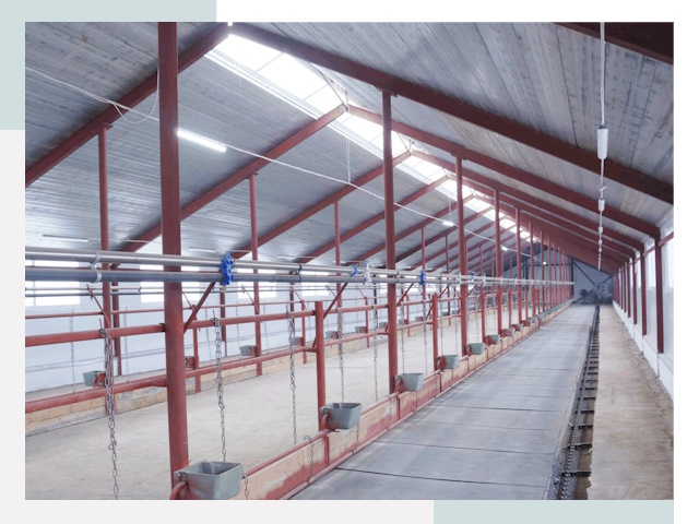 Строительство коровников в Мурманске от 617 руб.