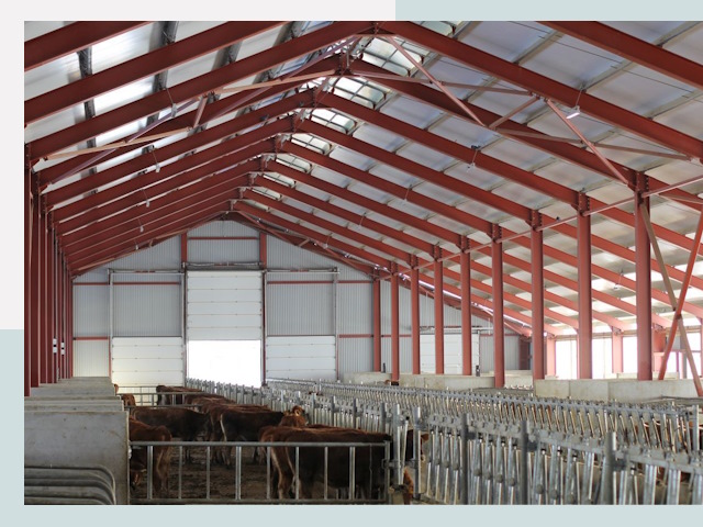 Строительство коровников в Мурманске