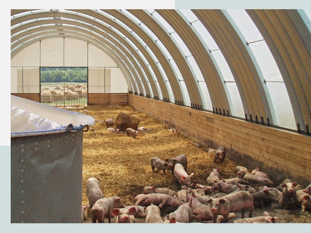 Строительство свинарников в Мурманске